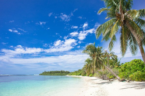 Vivez des moments inoubliables au parc aquatique de bretagne