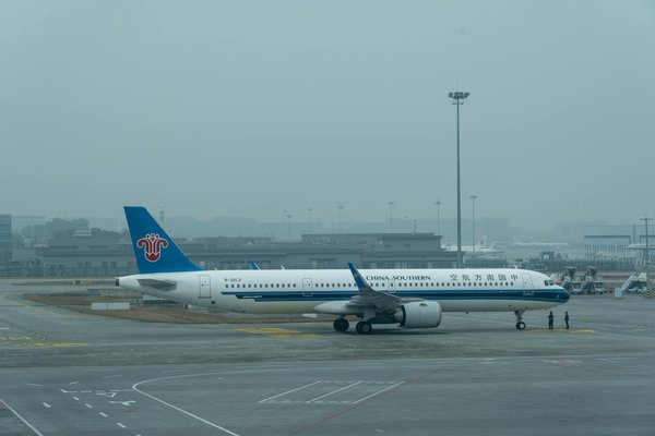 Épopées Glacées : Explorations Captivantes des Croisières en Terre d'Antarctique